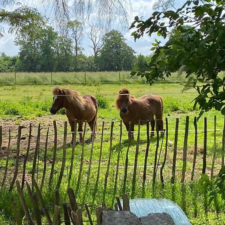 Bed & Breakfast 5 Min From E47 - Dogs Welcome - Cosy Farm Bnb Tureby ภายนอก รูปภาพ