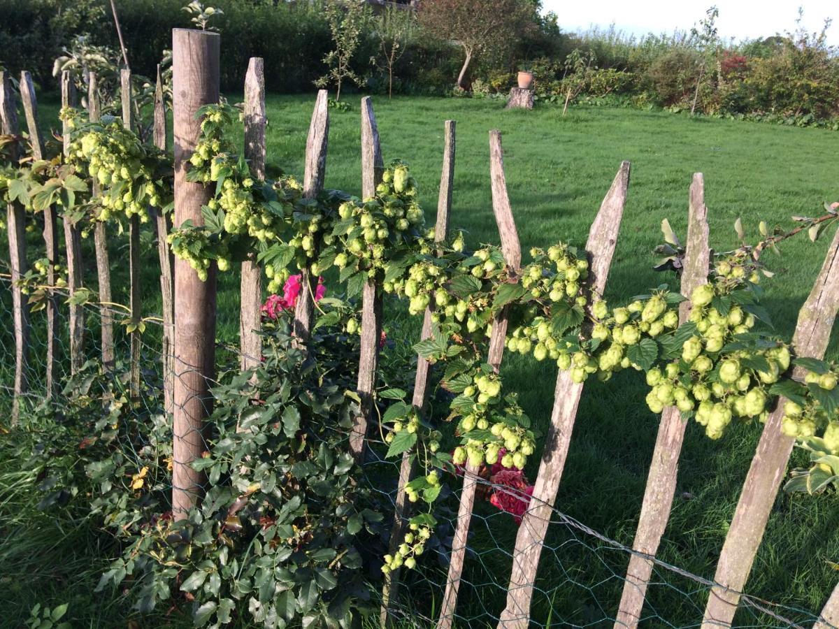 Bed & Breakfast 5 Min From E47 - Dogs Welcome - Cosy Farm Bnb Tureby ภายนอก รูปภาพ