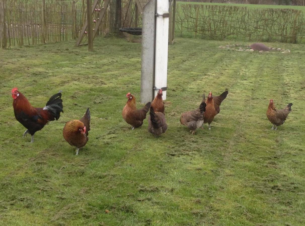 Bed & Breakfast 5 Min From E47 - Dogs Welcome - Cosy Farm Bnb Tureby ภายนอก รูปภาพ