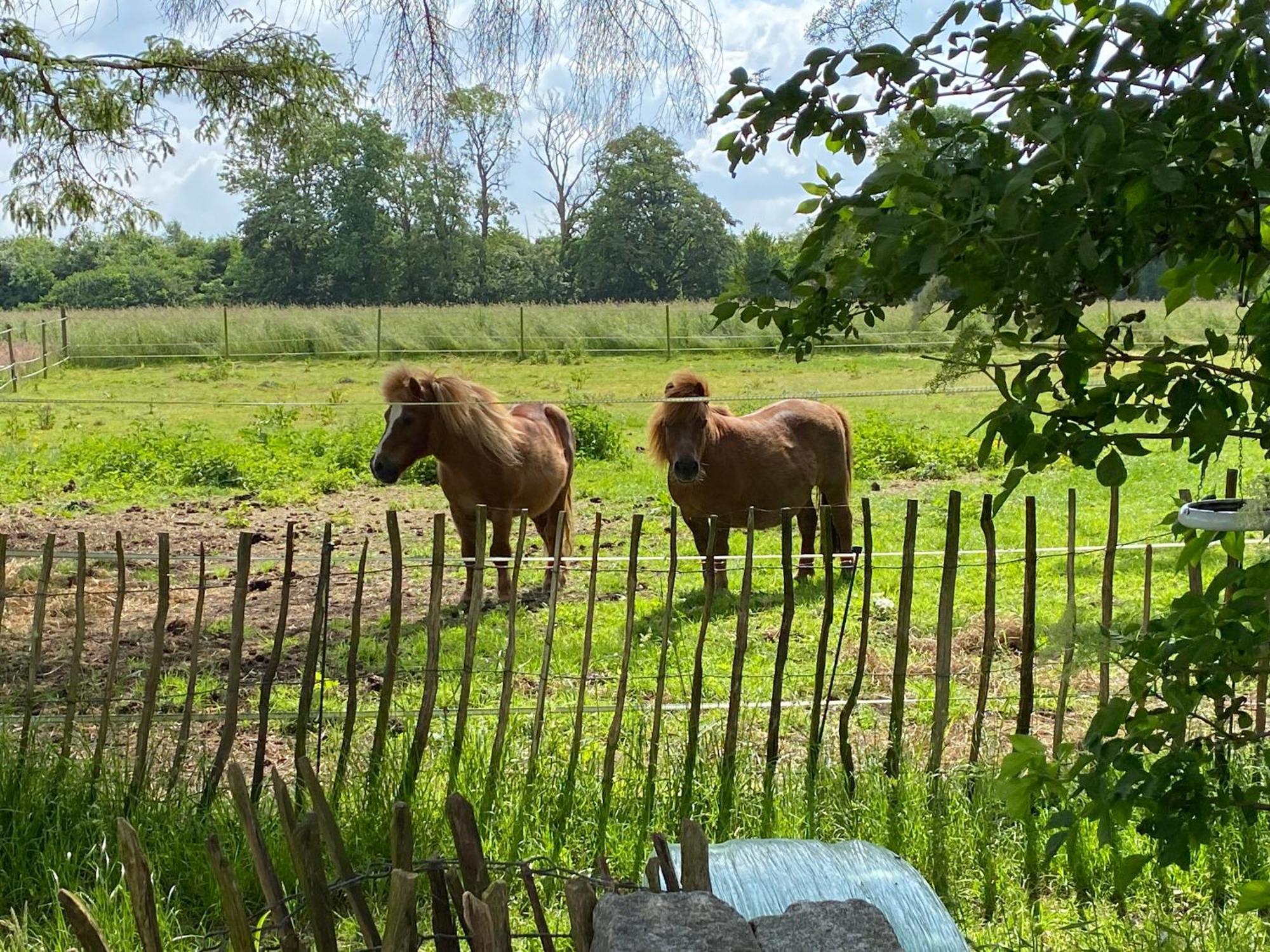 Bed & Breakfast 5 Min From E47 - Dogs Welcome - Cosy Farm Bnb Tureby ภายนอก รูปภาพ